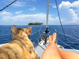 BoatSitting ...Partez l'esprit tranquille, vos animaux sont nos amis !