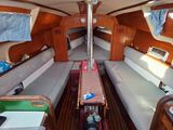 ARCADIA DL