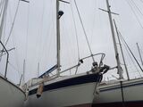 KIRIE 33