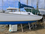 Vente dériveur SUN 2000
