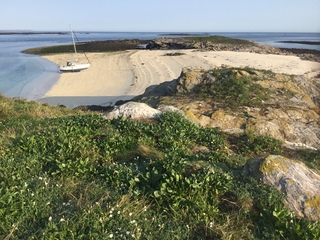 Souvenir d'été