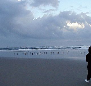 Plage