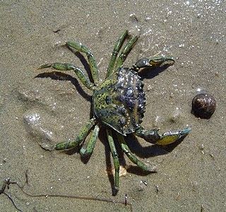 Prises de pêche