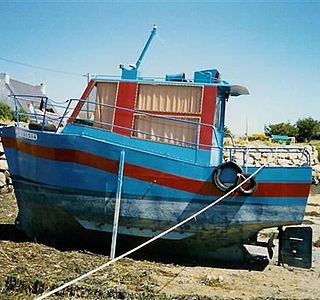 les coques étrange ou inhabituelle