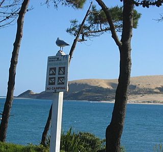 Paysages de bord de mer.