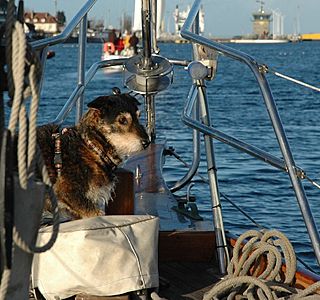 Mai, le sourire des premières navigations