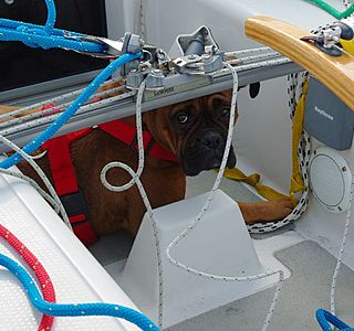 Mai, le sourire des premières navigations