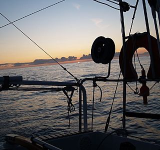 Le (s)  meilleur (s)  moment  (s) de cet été