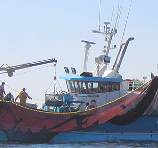 Bateaux de pêche rencontrés en mer