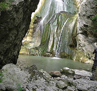 Beauté de la nature