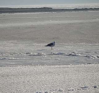 C'est beau l'hiver ?