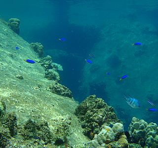 Sous l'eau...