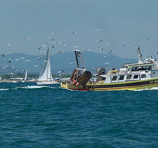 Bateaux de pêche