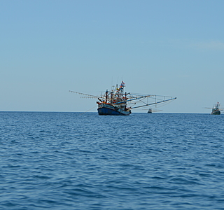 Bateaux de pêche