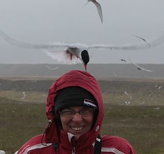 Oiseaux de mer : Mouettes, goélands, fous de Bassan, Albatros, etc...