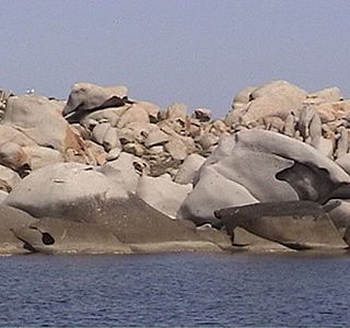 Rivages : Falaise, crique, Aber, plage...