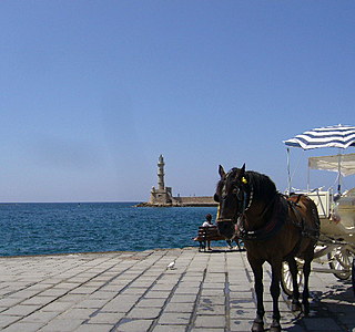 Les animaux de compagnie à bord