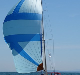 Sous spi dans la brise