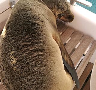 Souvenir de vos vacances, été 2017 !