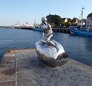 Faune marine croisée en navigation