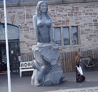 Faune marine croisée en navigation