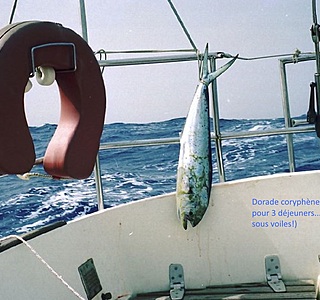 Pêche miraculeuse