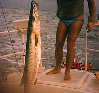 Pêche miraculeuse