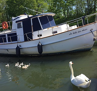 Trawler Eagle 32