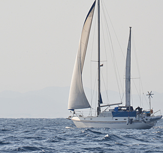 Colvic Victor 40