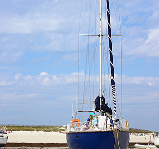 Samba 36