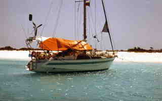Trisbal 36