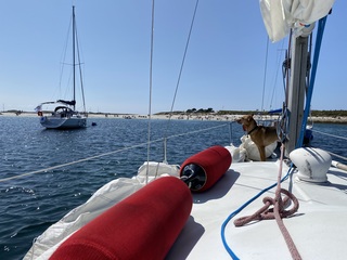 Dufour 24
