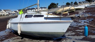 Flamingo 200