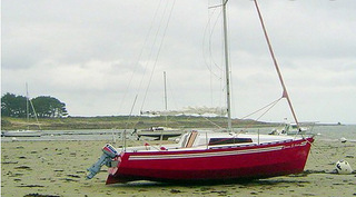 Figaro 6