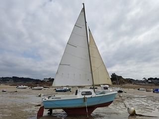 Sir 530