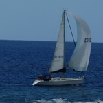 colibri974